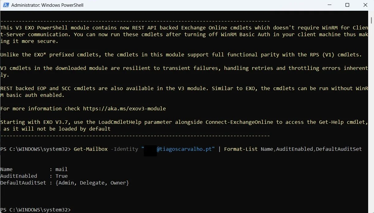 Screenshot 2: Checking the audit status of a specific mailbox.