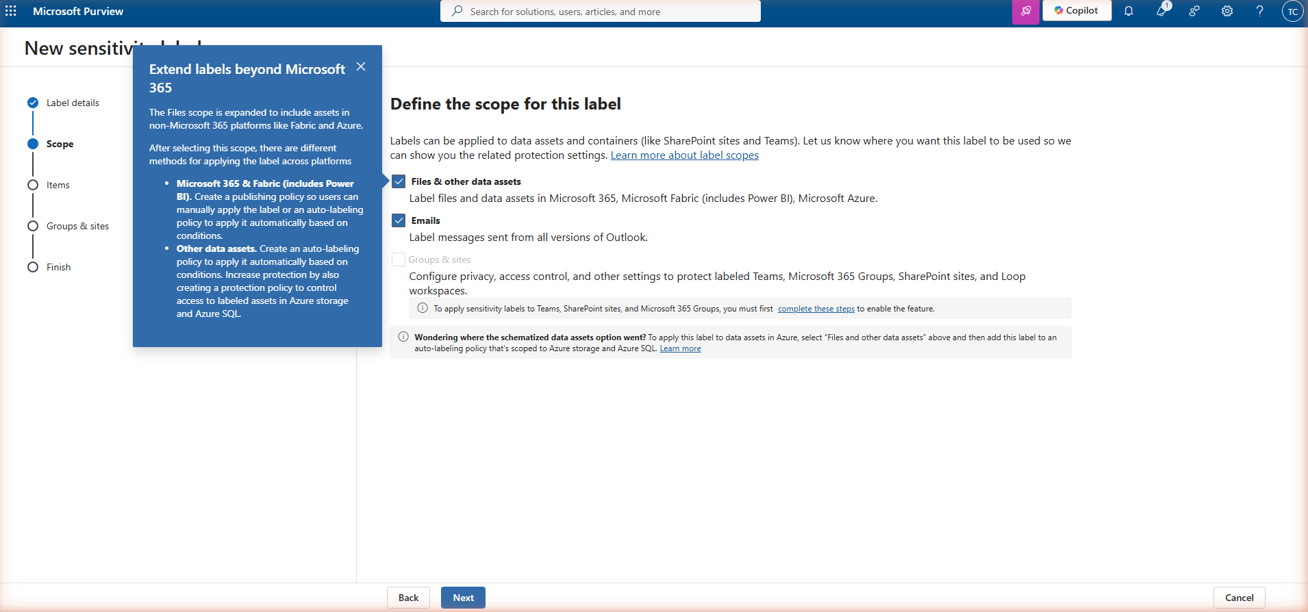 New sensitivity label wizard — Step 3: Items. Two options: 'Control access — Control who can access and view labeled items' (checked) and 'Apply content marking — Add custom headers, footers, and watermarks to labeled items' (unchecked).